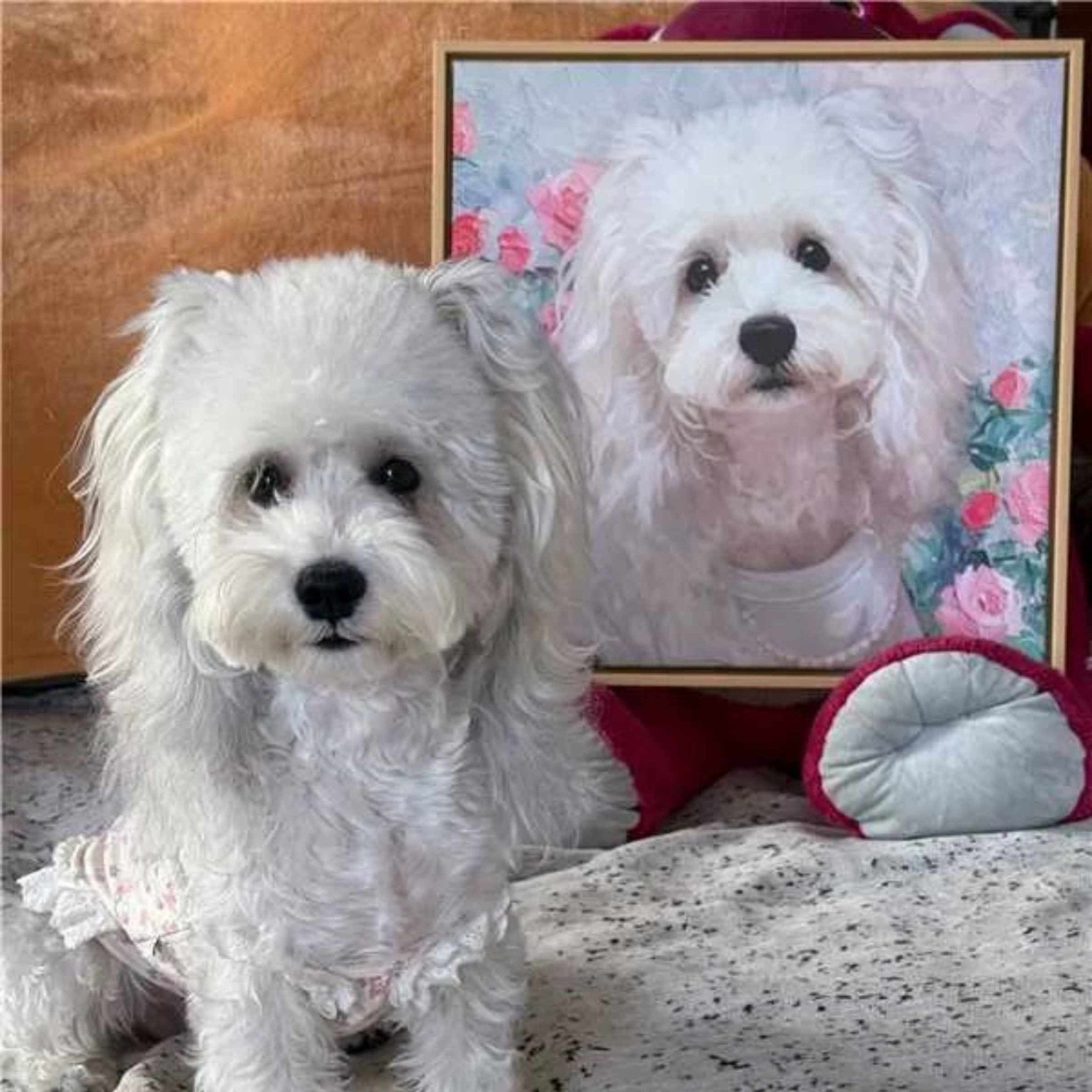 Hand - Drawn Pet Portrait — Framed - Holdmypawart