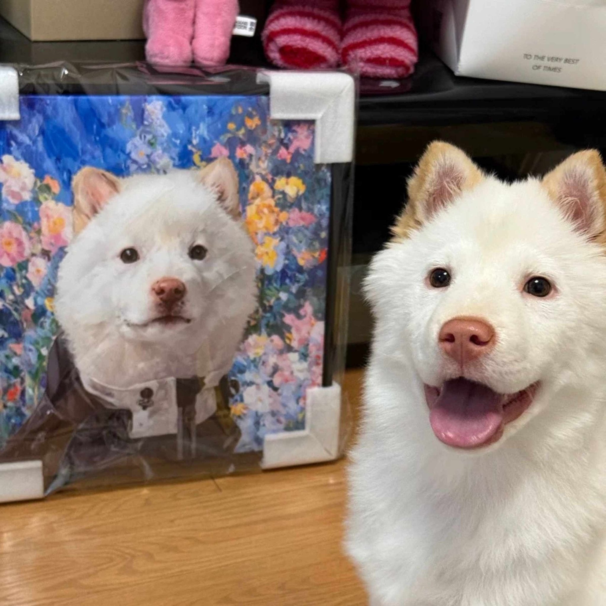Hand - Drawn Pet Portrait — Framed - Holdmypawart