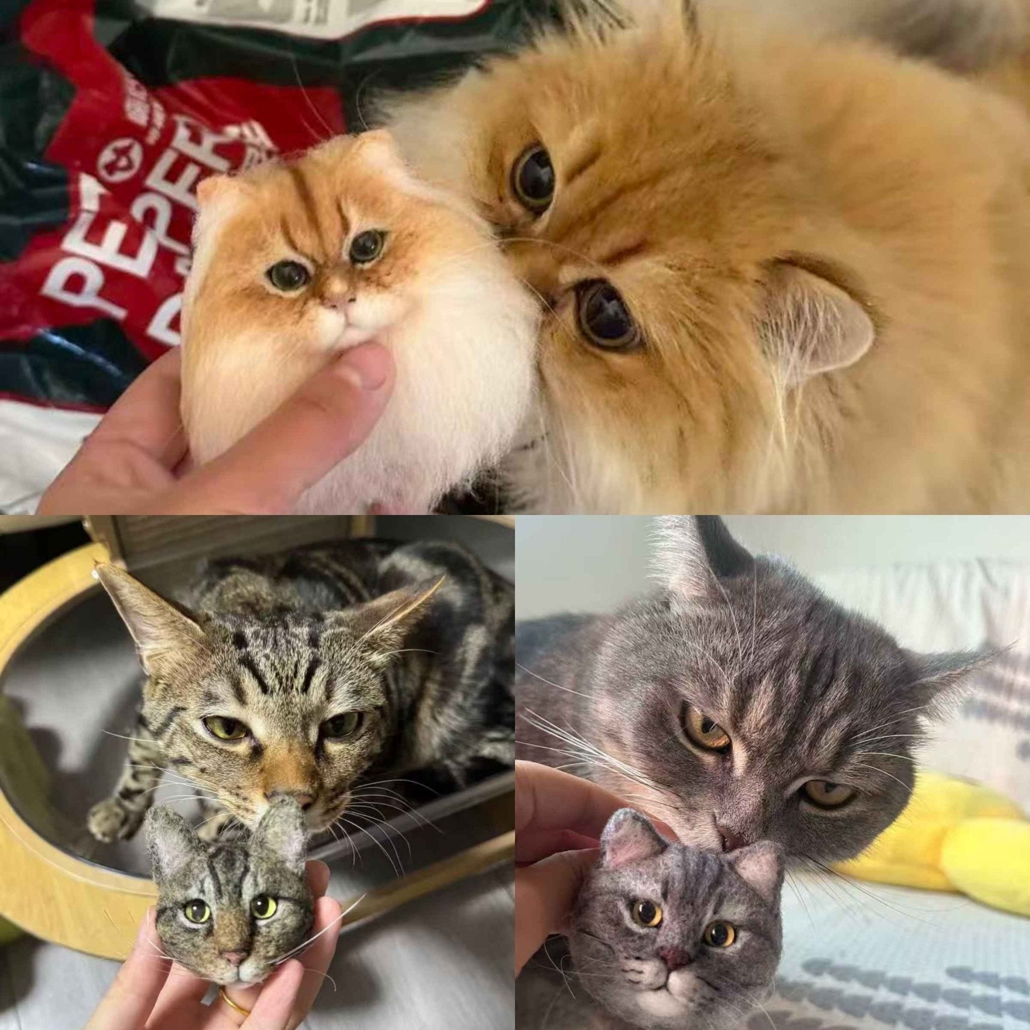 Custom Needle - Felt Pet Portrait Brooch — 3D Wool Head - Holdmypawart