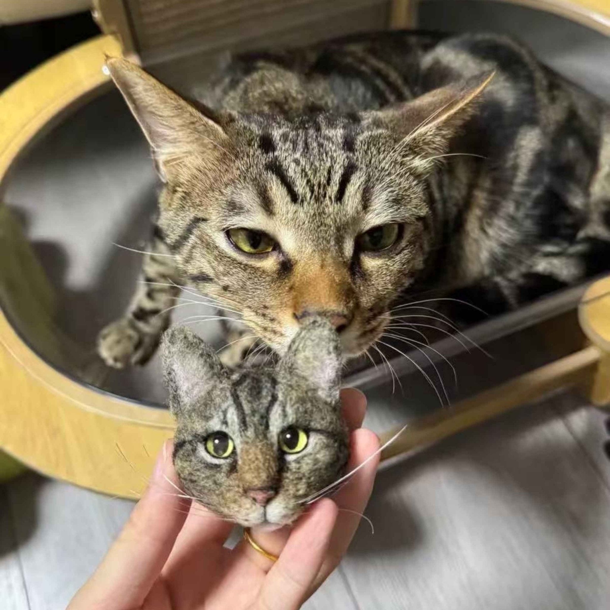 Custom Needle - Felt Pet Portrait Brooch — 3D Wool Head - Holdmypawart