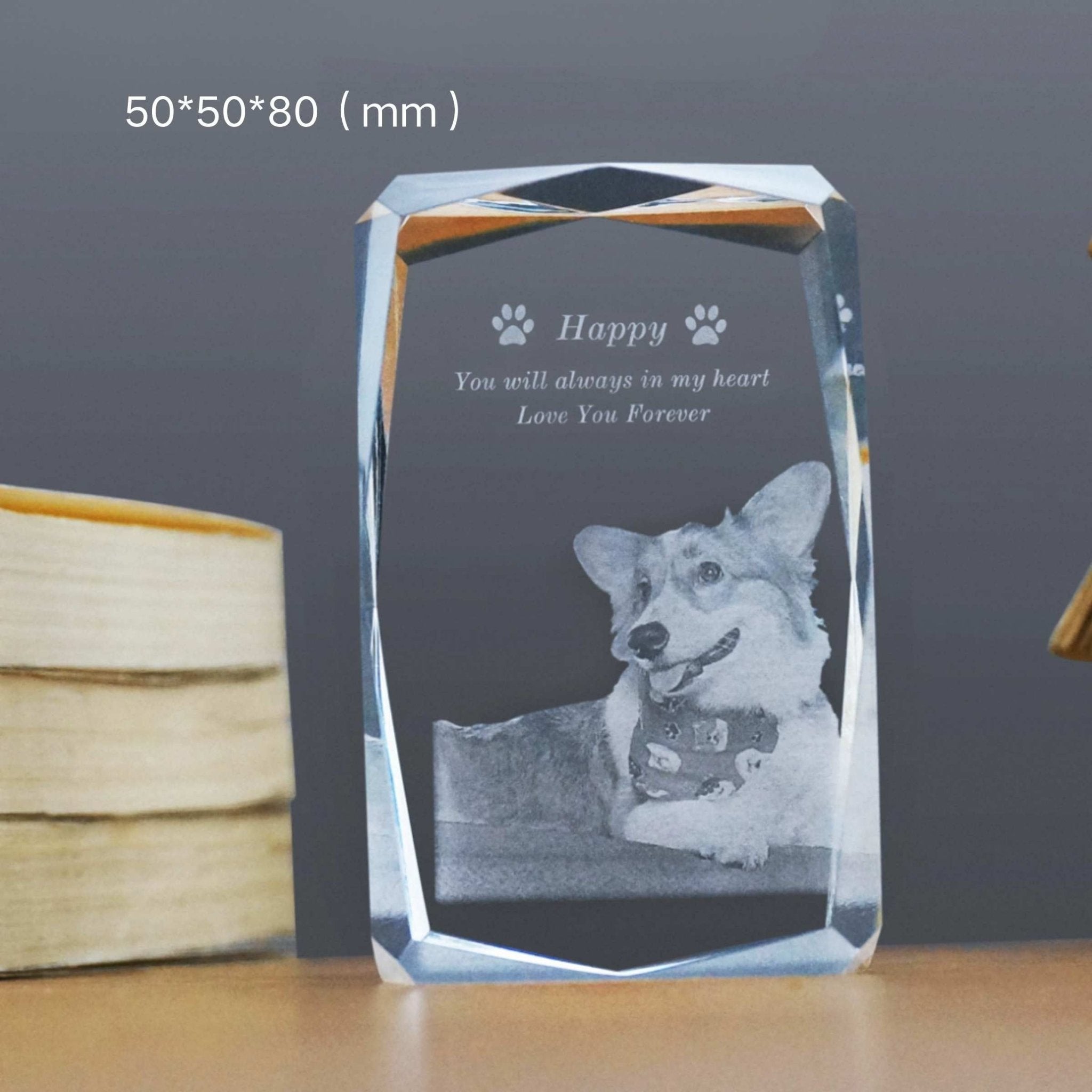Custom Pet Crystal Memorial — 2D / 3D Engraving - Holdmypawart