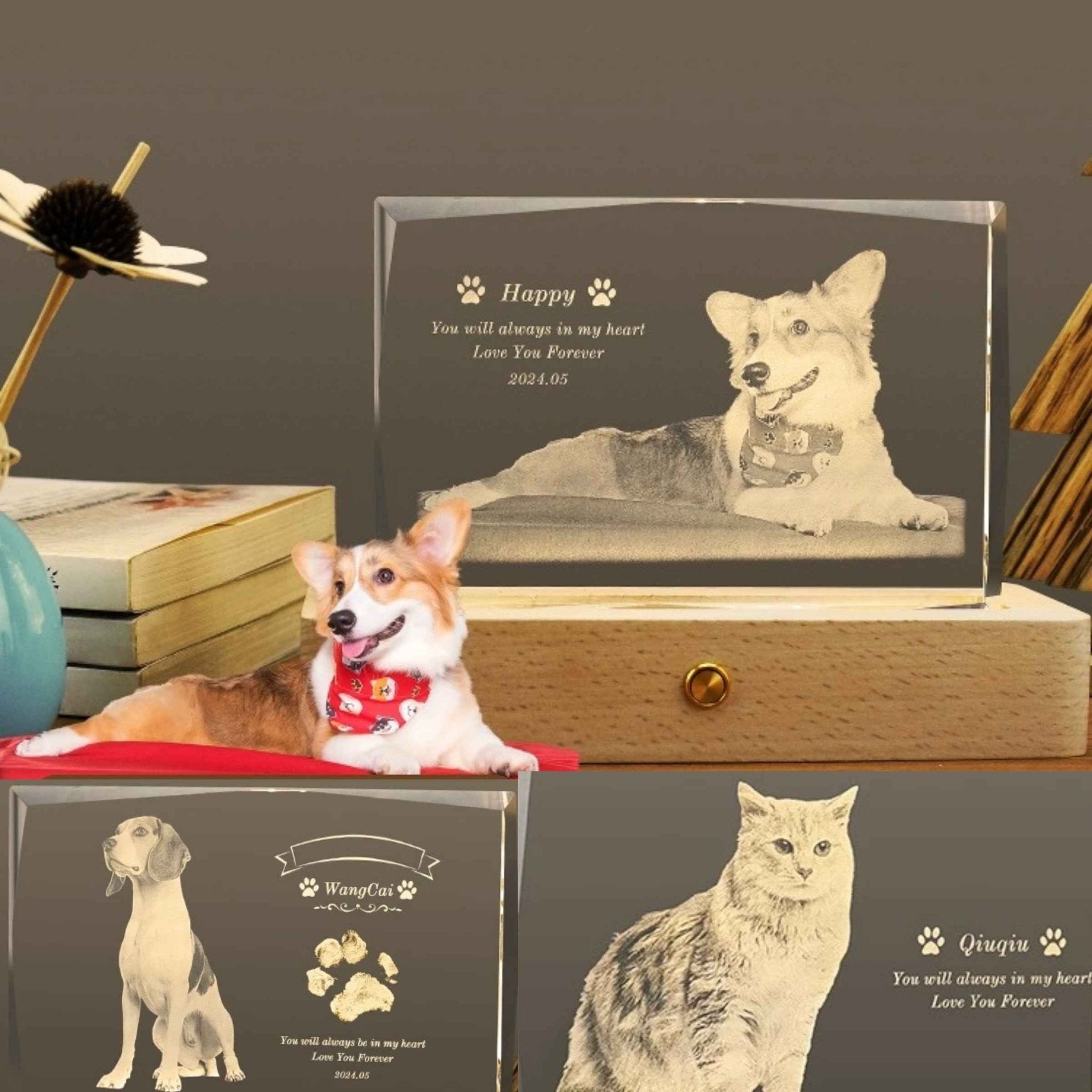 Custom Pet Crystal Memorial — 2D / 3D Engraving - Holdmypawart