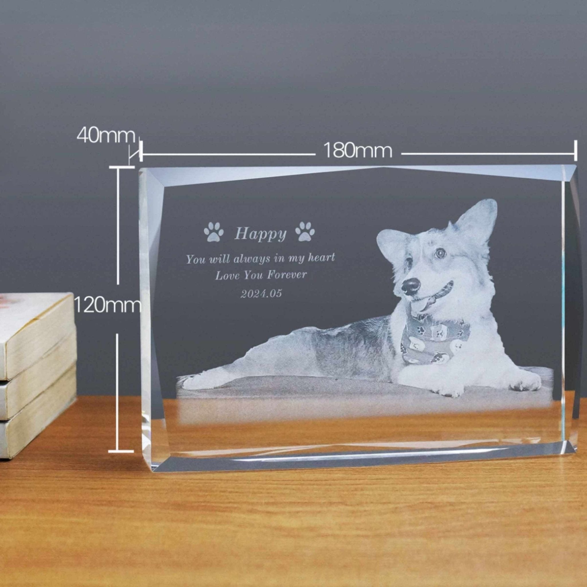 Custom Pet Crystal Memorial — 2D / 3D Engraving - Holdmypawart