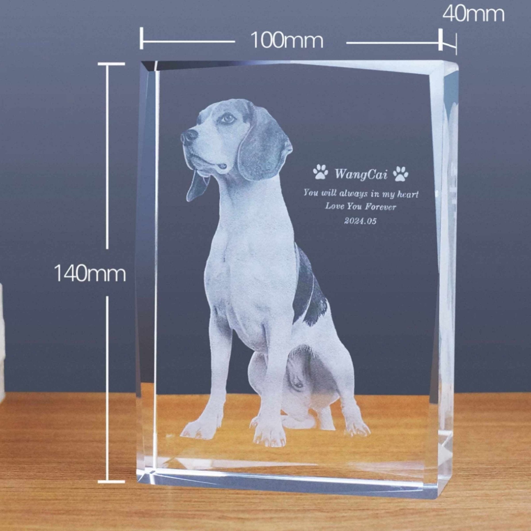 Custom Pet Crystal Memorial — 2D / 3D Engraving - Holdmypawart