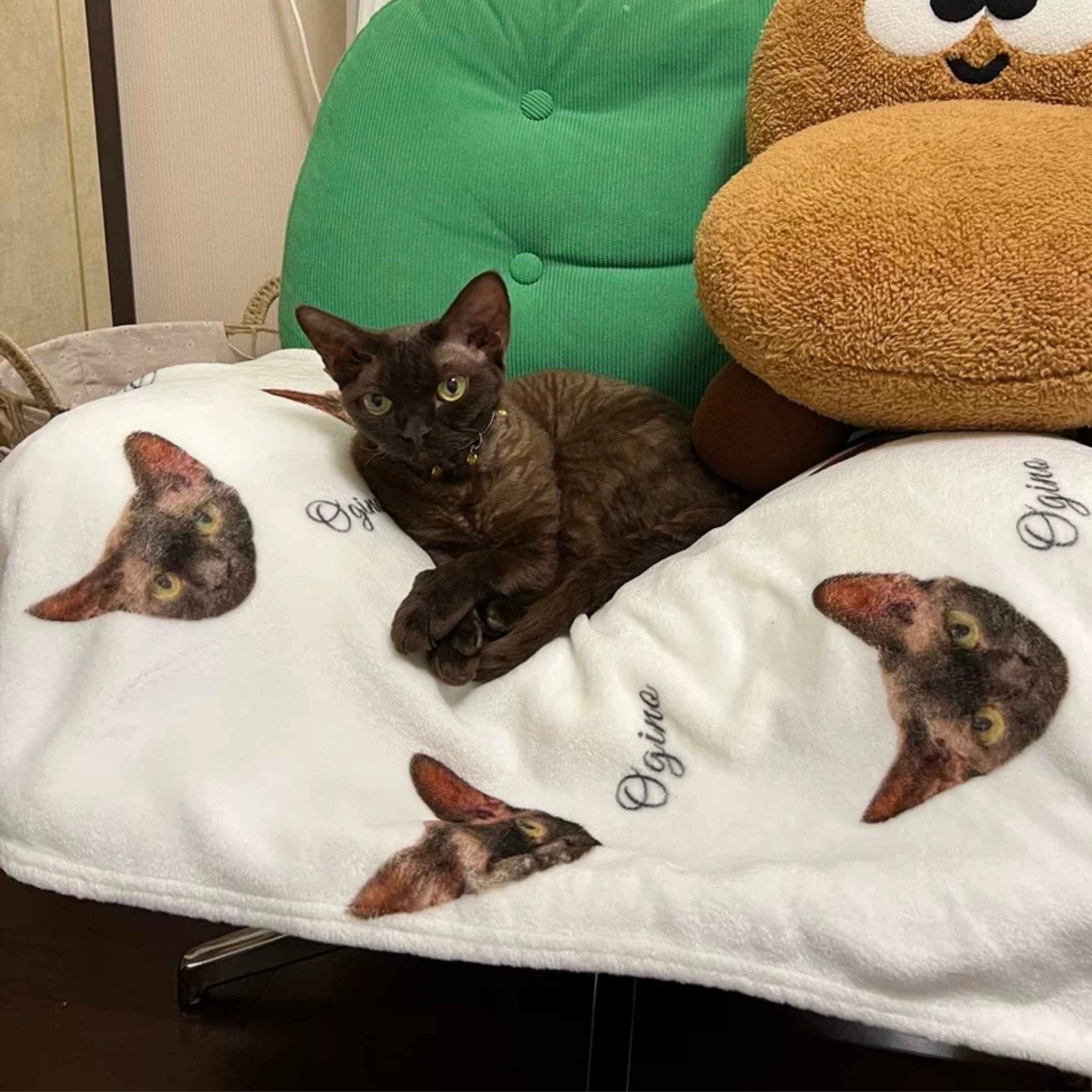 Custom Pet Flannel Blanket (Ultra - Soft Microfiber) - Holdmypawart