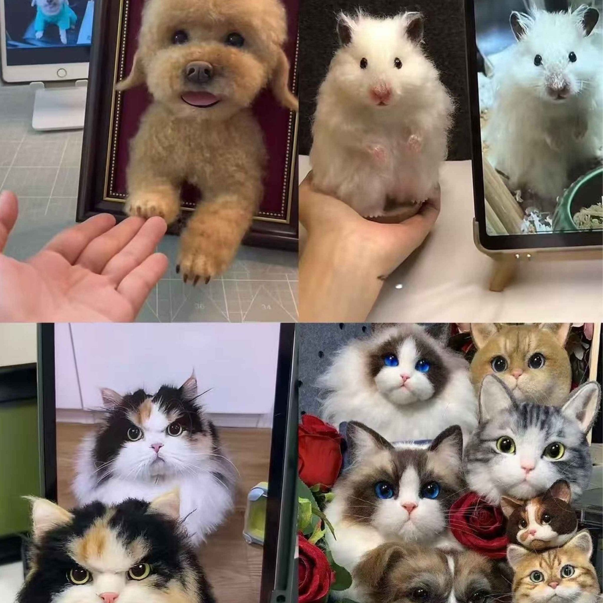 Framed Needle - Felt Pet Portrait — 3D Wool Relief - Holdmypawart