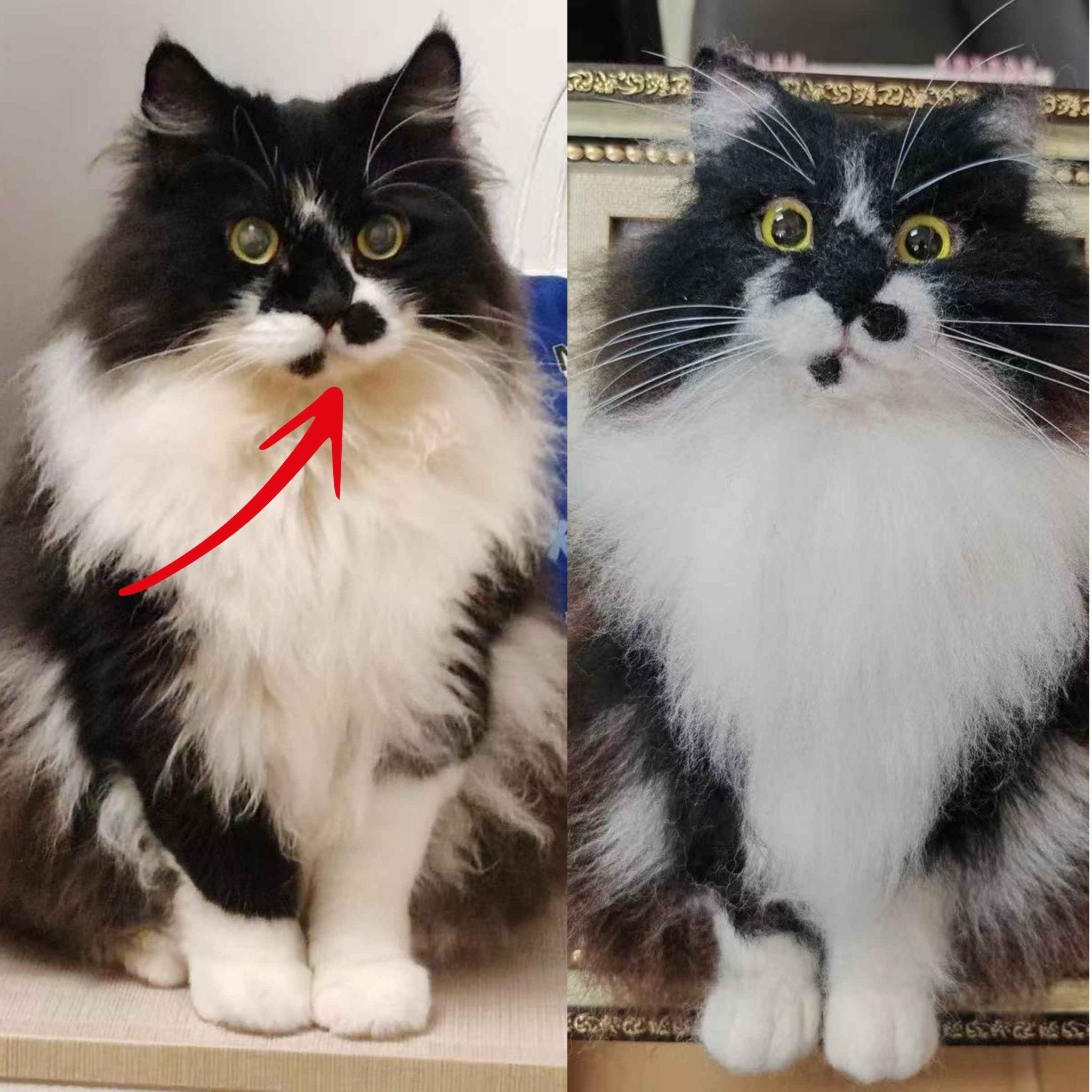 Framed Needle - Felt Pet Portrait — 3D Wool Relief - Holdmypawart