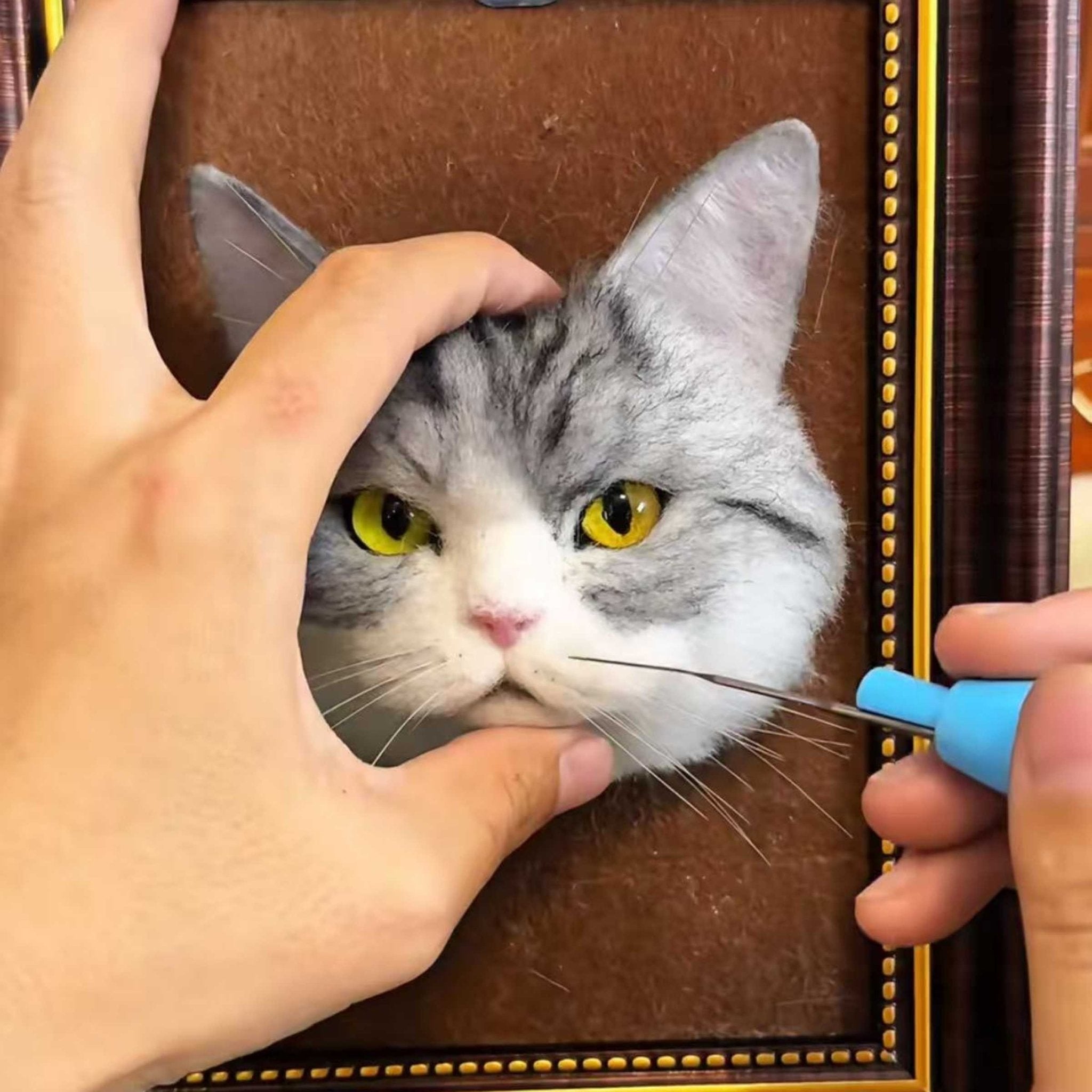 Framed Needle - Felt Pet Portrait — 3D Wool Relief - Holdmypawart