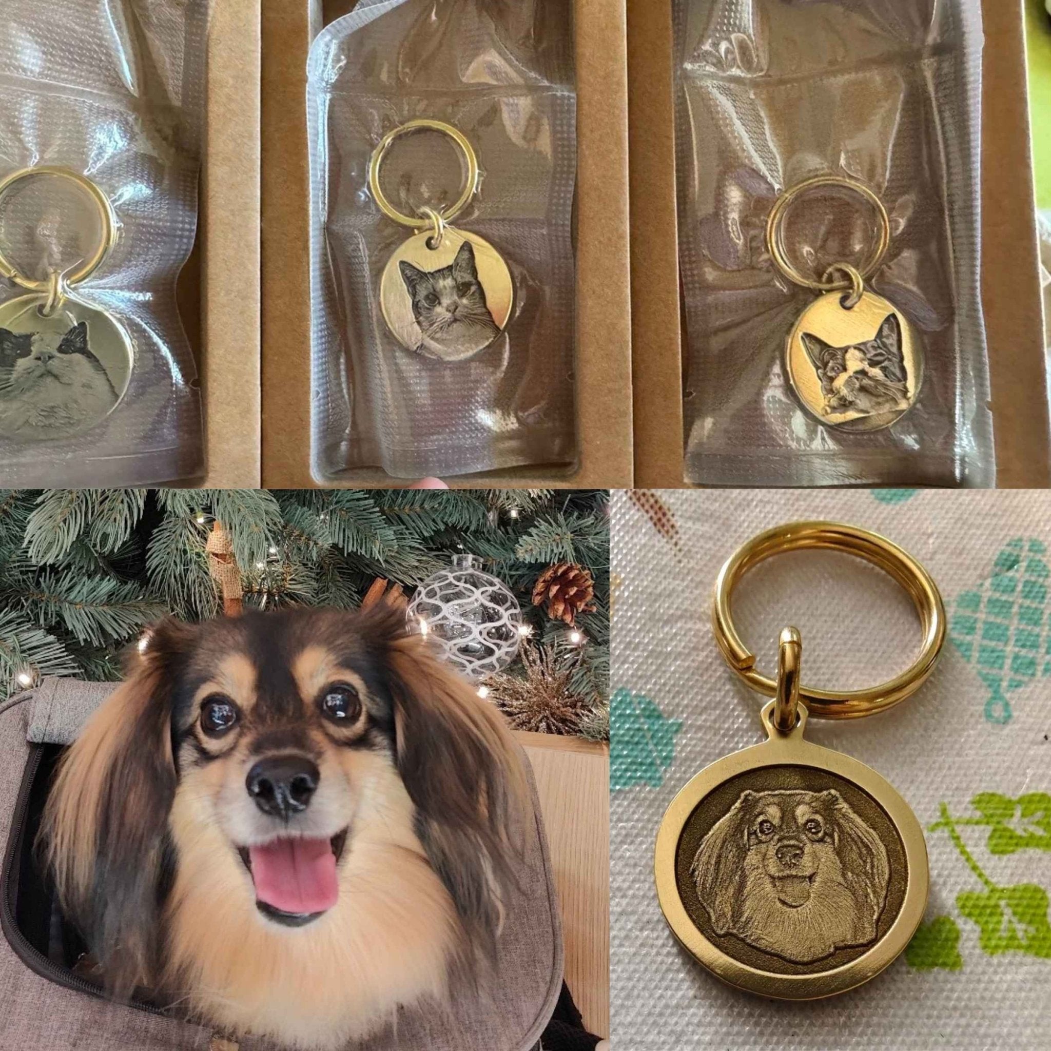 Small Gifts — Brass Tag, Brass Keychain & Magnet Sets - Holdmypawart