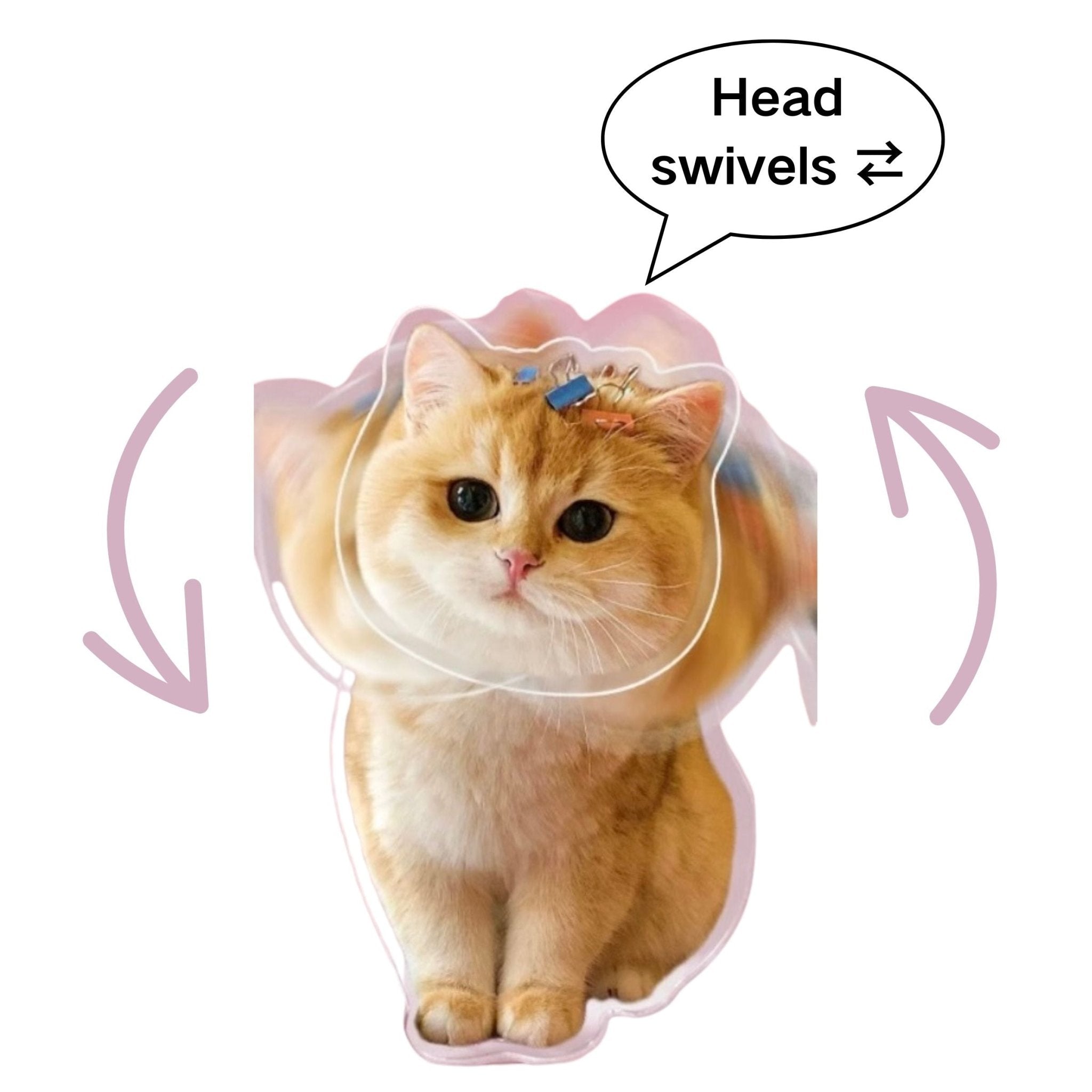 Small Gifts — Brass Tag, Brass Keychain & Magnet Sets - Holdmypawart