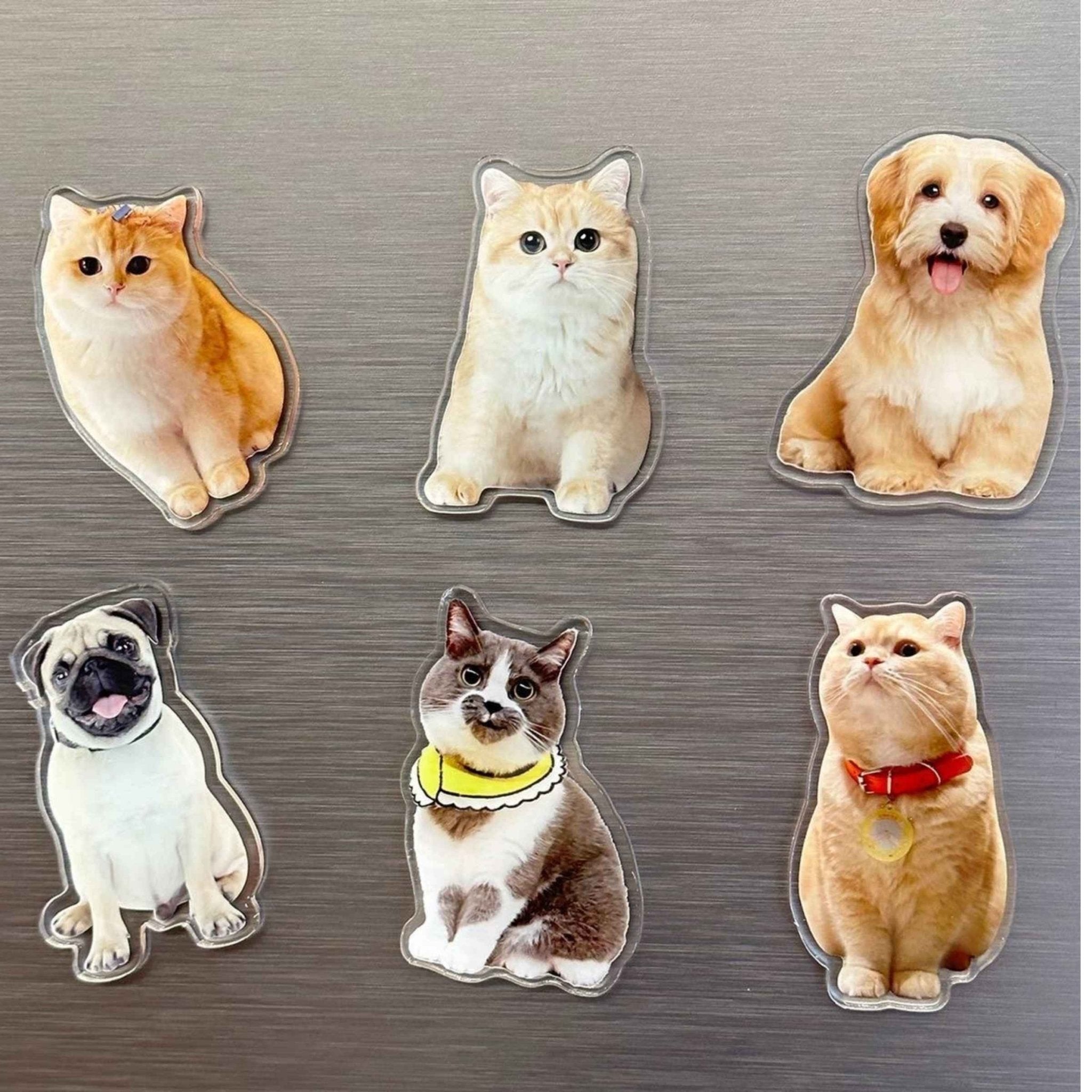 Small Gifts — Brass Tag, Brass Keychain & Magnet Sets - Holdmypawart