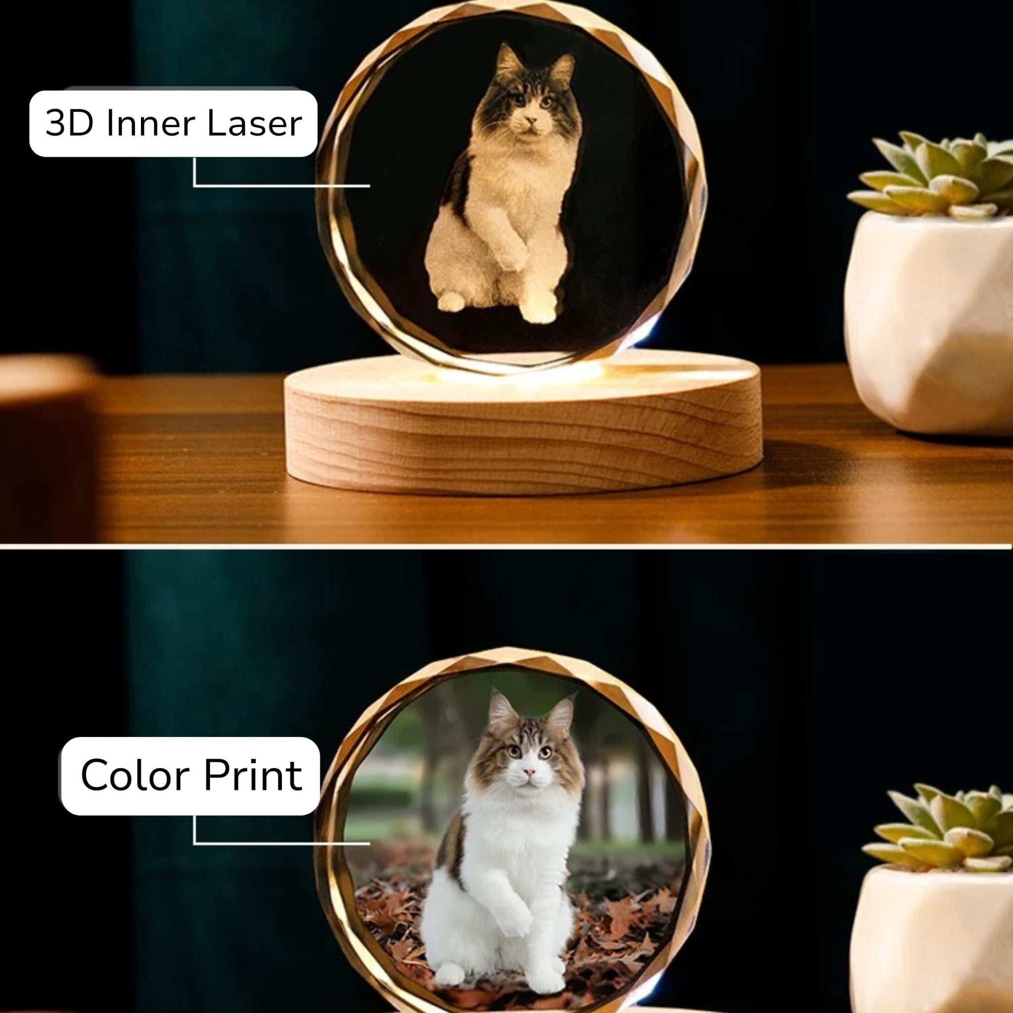 Your Photo in Living Color — Crystal - Holdmypawart